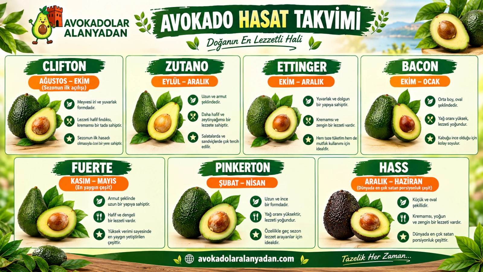 AVOKADOLAR ALANYADAN